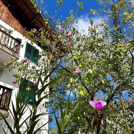 Refugio Na Serra Condominio Em Olaria, Nova Friburgo-Rj エクステリア 写真
