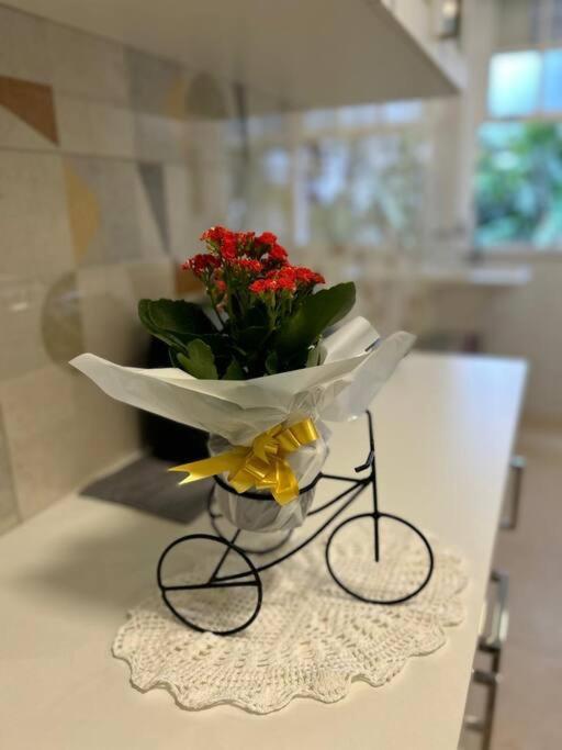 Refugio Na Serra Condominio Em Olaria, Nova Friburgo-Rj エクステリア 写真