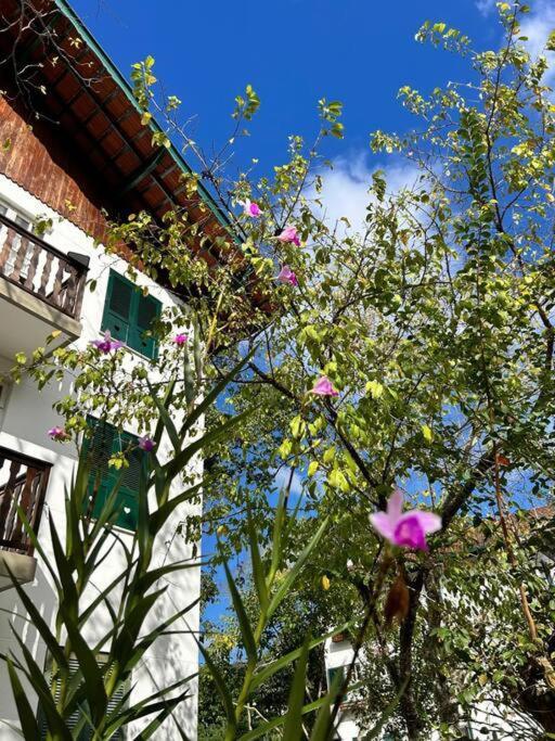 Refugio Na Serra Condominio Em Olaria, Nova Friburgo-Rj エクステリア 写真