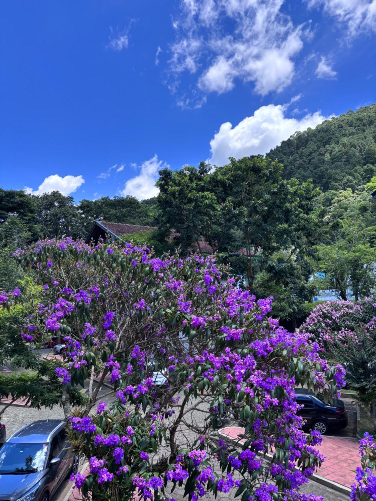 Refugio Na Serra Condominio Em Olaria, Nova Friburgo-Rj エクステリア 写真